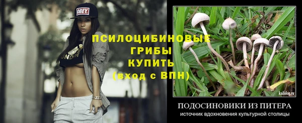 Альфа ПВП Алексин